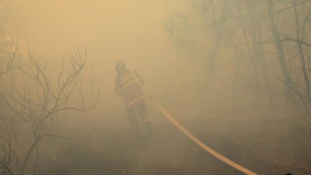 До Северния полюс: димът от пожарите в Русия
