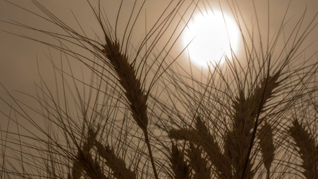 Снимка: Bloomberg LP