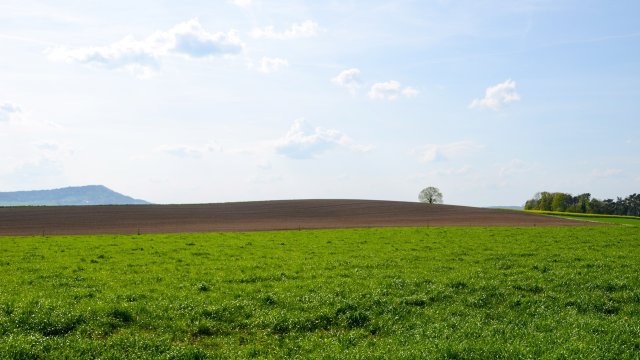 Снимка: Pixabay