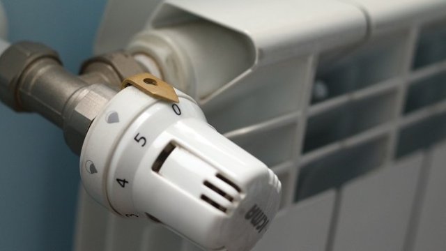 <p>
	<em>Снимка: БГНЕС</em></p>
