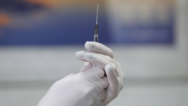 <p>
	<em>Снимка: Димитър Кьосемарлиев, Investor Media Group</em></p>
