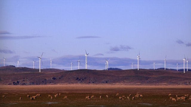 <p>
	<em>Снимка: Ройтерс</em></p>
