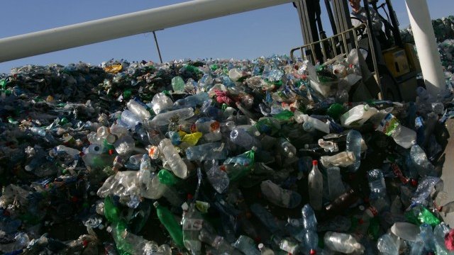 <p>
	<em>Снимка: Getty Images News</em></p>
