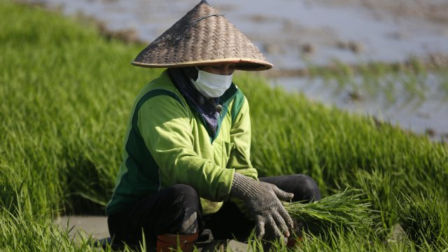 Снимка: БГНЕС/ЕРА