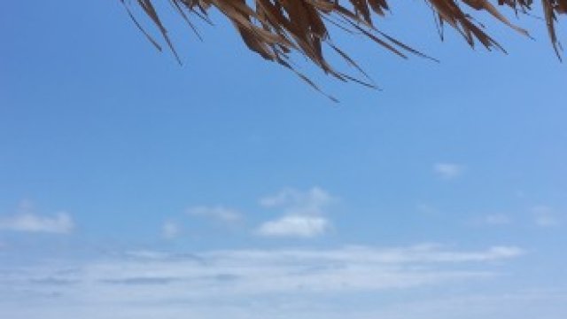 <p>
	<em>Снимка: Гергана Костадинова, БГНЕС</em></p>
