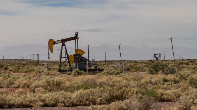 Снимка: Bloomberg L.P.