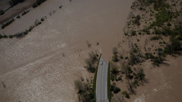 Снимка: Emily Elconin/Bloomberg