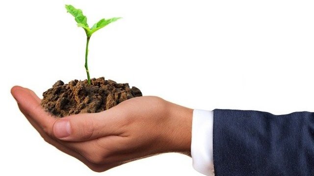 <p>
	<em>Снимка: Pixabay</em></p>
