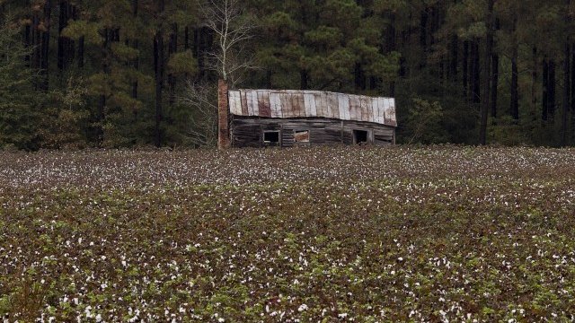 <p>
	<em>Снимка: Ройтерс</em></p>
