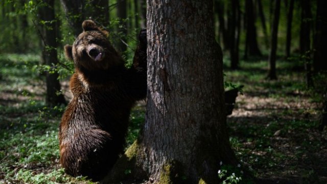 <p>
	<em>Снимка: Getty</em></p>
