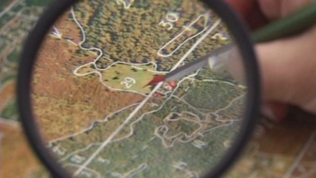 <p>
	<em>Снимка: Pixabay</em></p>
