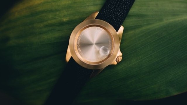 <p>
	<em>Снимка: www.becomb.com</em></p>
