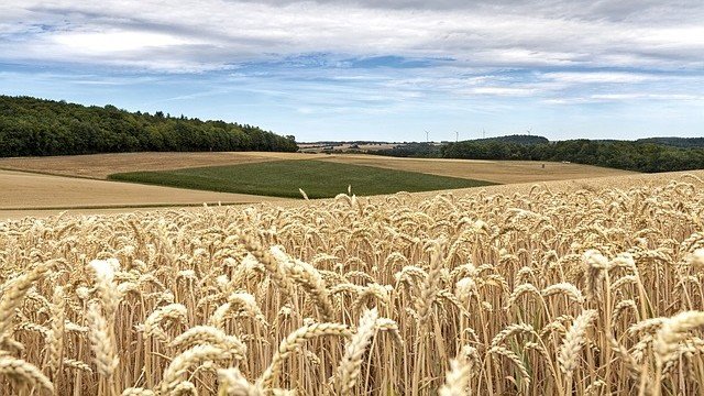 <p>
	<em>Снимка: Pixabay</em></p>
