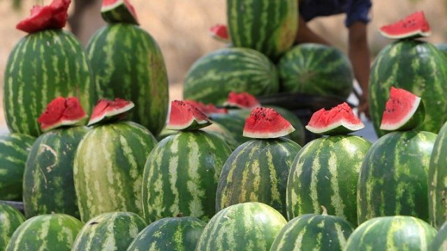 <p>
	Снимка: <em>Ройтерс</em></p>
