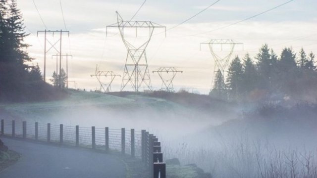 <p>
	<em>Снимка: Pixabay.com</em></p>
