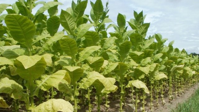 <p>
	<em>Снимка: Pixabay</em></p>
