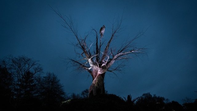 <p>
	<em>Снимка: gettyimages</em></p>
