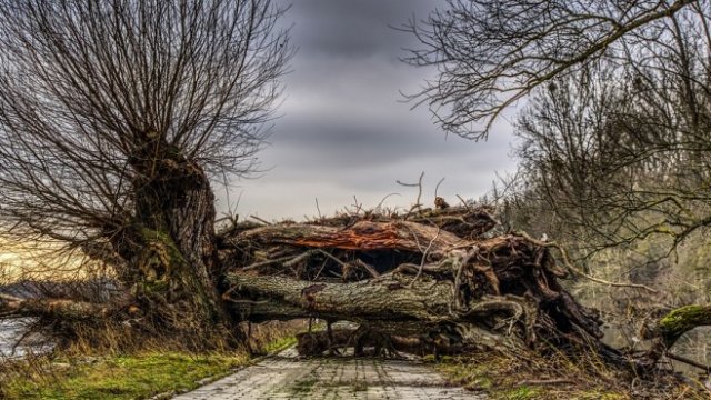 <p>
	<em>Снимка: Pixabay</em></p>
