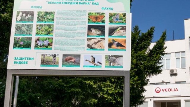 Снимка: &bdquo;Веолия Енерджи Варна&ldquo;
