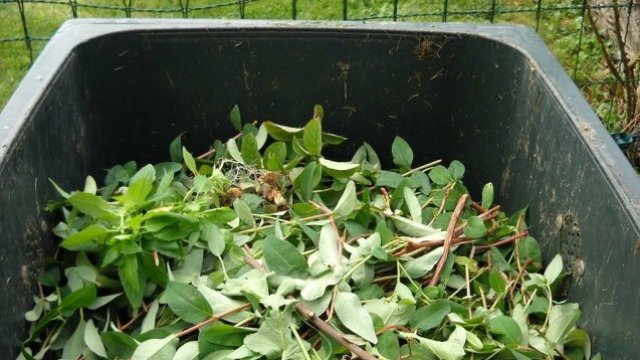 <p>
	<em>Снимка: Pixabay</em></p>
