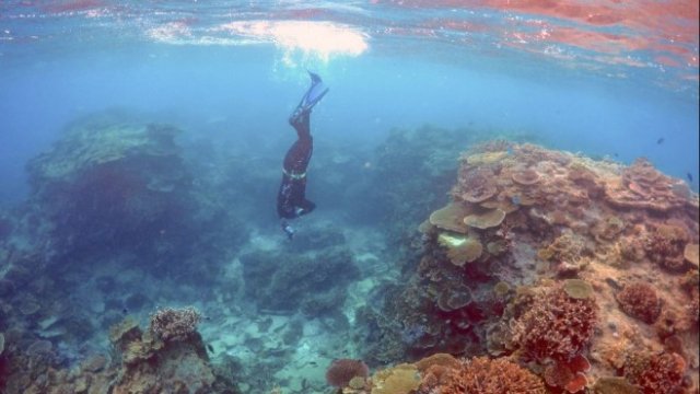 <p>
	<em>Снимка: Архив Ройтерс</em></p>
