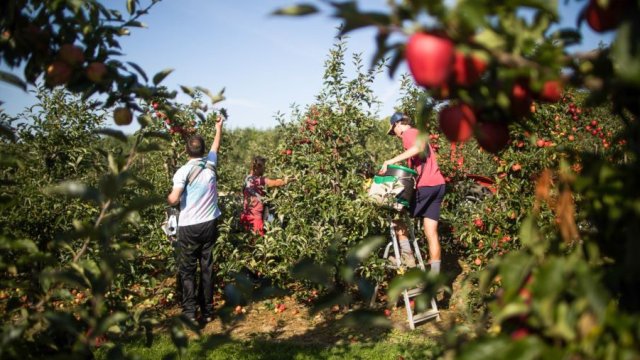 Снимка: Bloomberg LP