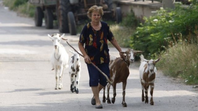 <p>
	<em>Снимка: Архив Ройтерс</em></p>
