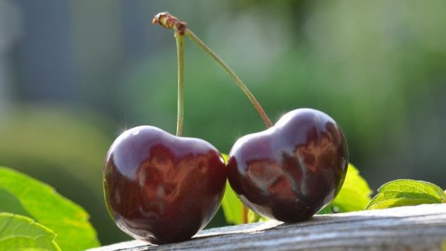 <p>
	<em>Снимка: Pixabay</em></p>
