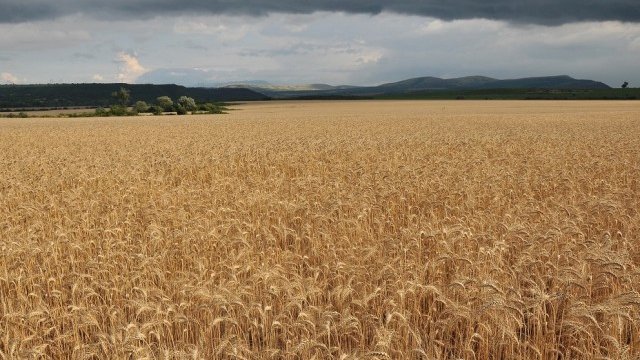 <p>
	<em>Снимка: БТА</em></p>
