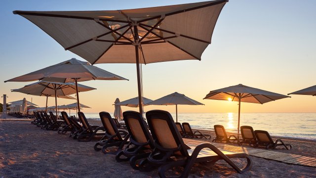 Снимка: freepik