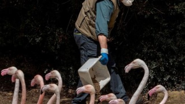 <p>
	<em>Снимка: EPA/БГНЕС</em></p>

