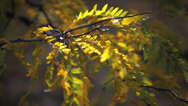 <p>
	<em>Снимка: Олег Попов, Investor Media Group</em></p>
