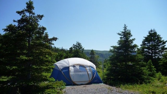 <p>
	<em style="color: rgb(102, 102, 102); font-family: Arial, non-serif; font-size: 13px; line-height: 20px;">Снимка: Pixabay</em></p>
