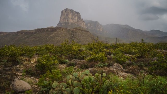 <p>
	<em>Снимка: Bloomberg</em></p>
