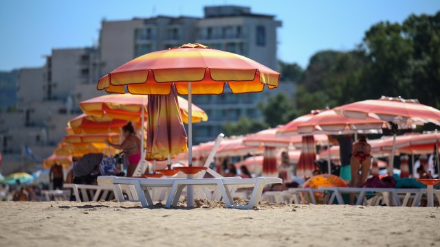 Снимка: БГНЕС