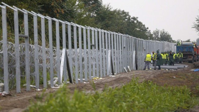 <p>
	Унгарски служители продължават с монтирането на граничната ограда. <em>Снимка: Ройтерс</em></p>
