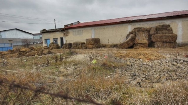 <p>
	<em>Снимки: Димитър Кьосемарлиев, Investor Media Group</em></p>
