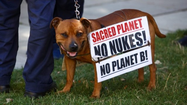 <p>
	<em>Снимка: Bloomberg</em></p>
