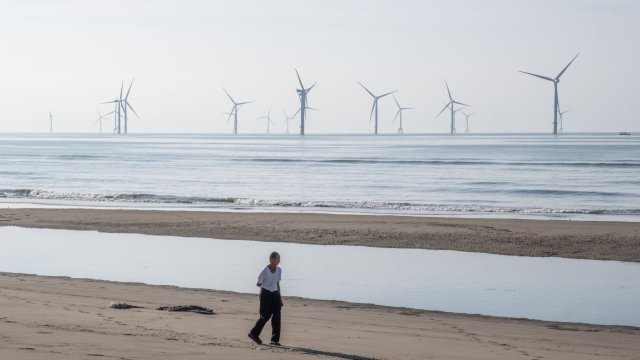 Снимка: Bloomberg L.P.