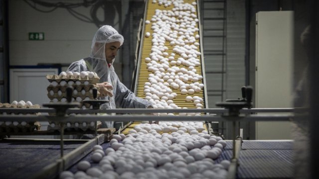 Снимка: Chris McGrath/Getty Images