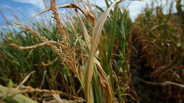 <p>
	<em>Снимка: Архив Ройтерс</em></p>
