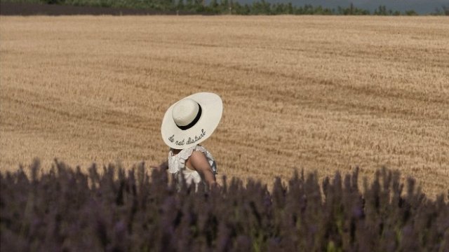 <p>
	Снимка: Pixabay</p>
