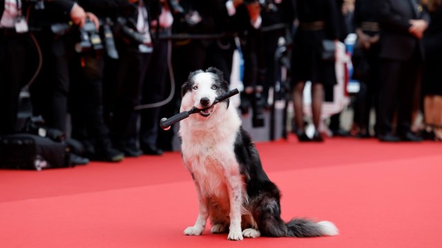 Снимка: EPA/SEBASTIEN NOGIER