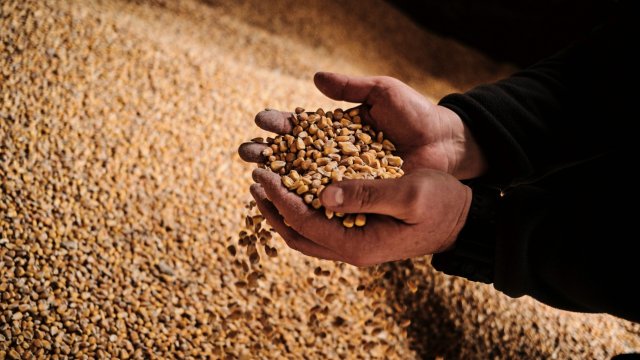 Снимка: Bloomberg