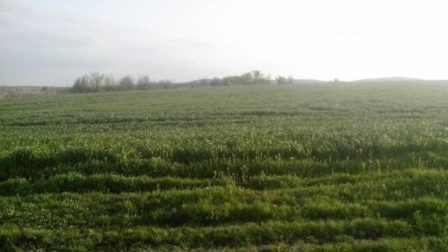 <p>
	<em>Снимка: Investor.bg</em></p>
<p>
	&nbsp;</p>
