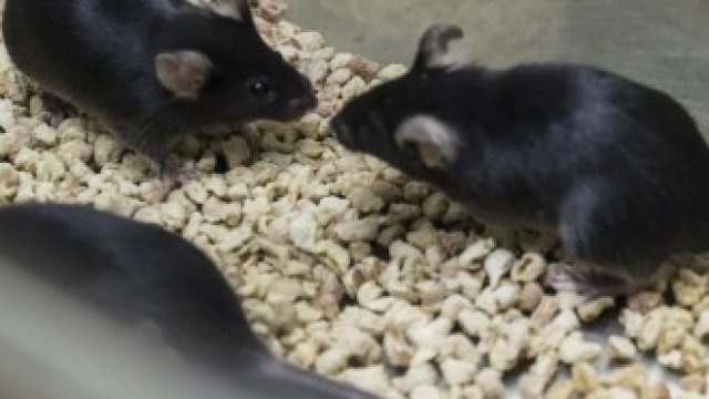 <p>
	<em>Снимка: Qilai Shen/Bloomberg</em></p>
