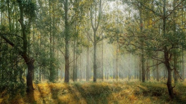 <p>
	<em>Снимка: Pixabay</em></p>
