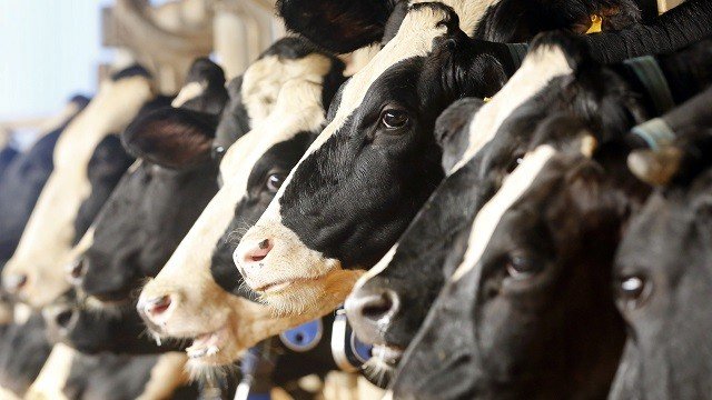 <p>
	<em>Снимка: Ройтерс</em></p>
