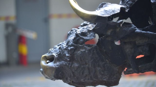 Снимка: БФБ АД