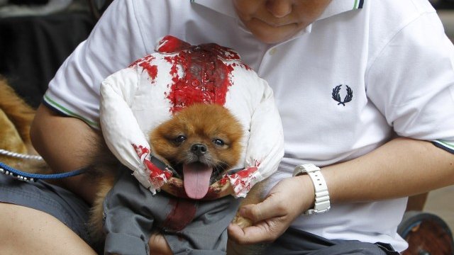 <p>
	&nbsp;Разходите за Хелоуин на човек са нараснали с 55% от 2005 г. насам - от 49 до 75 долара. <em>Снимка: Ройтерс</em></p>
